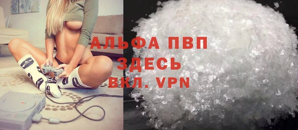 прущие грибы Усинск