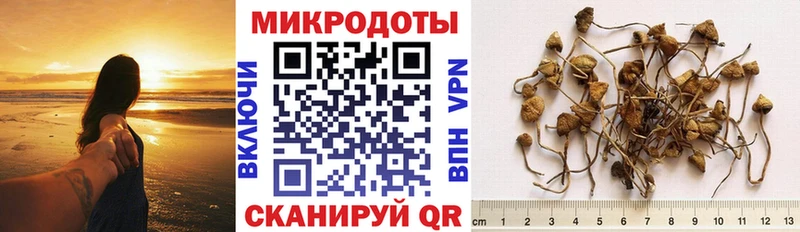Псилоцибиновые грибы Cubensis  Саратов 